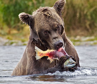 Home - Great Alaska Sportsman Show